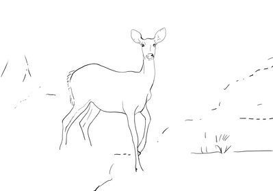 traceable_Deer
