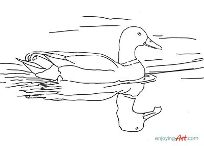 traceable_duck_swimming
