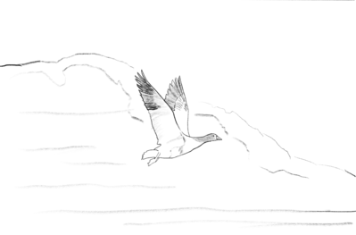 traceable_goose_flying
