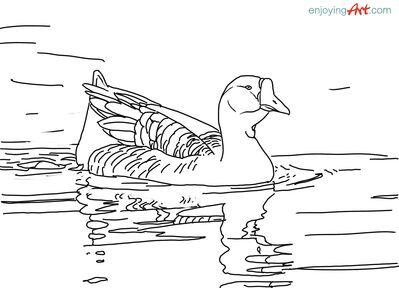 traceable_goose_swan_swimming
