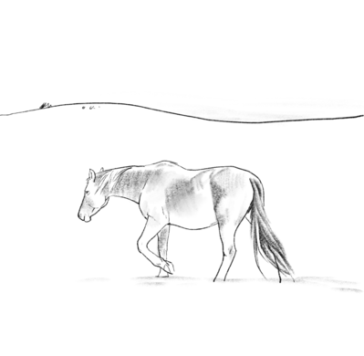 traceable_horse
