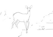 traceable_Deer.jpg