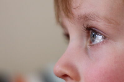 Keywords: eye,child,closeup,nose,profile,profile view,painting the structure of an eye