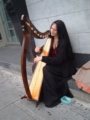 Keywords: musician,street,harp,instrument,musical