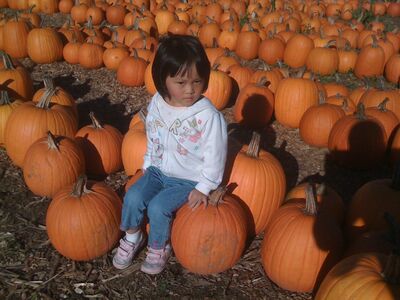 Keywords: pumpkin;pumpkins;lily;girl;autumn;little girl;child;asian;chen family;friend;young girl;girl seated