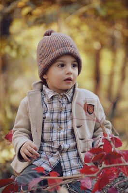 Keywords: baby,hat,trees,toddler,checked shirt,autumn,red leaves,beige jacket,brown hat,plaid shirt,one hand