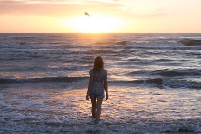 Keywords: beach,ocean,water,woman,bird,sunset,walking in sea,waves,sunlight,sunrise,facing away