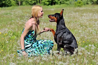 Keywords: girl,woman,youth,young,profile,holding paw,doberman pincer,field,green and black dress