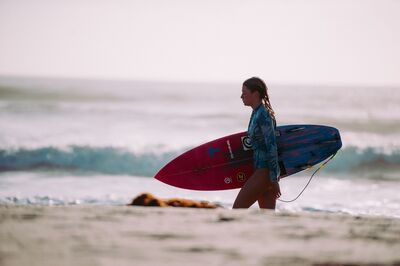 blue-sky-2578051_1920
Keywords: girl,ocean,beach,surfing