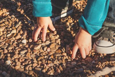 Keywords: hand,hands,dirt,sun,shadow,cast shadow,child,tennis shoe,blue jacket