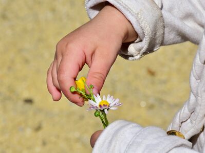 Keywords: hand,child,flower,outdoors,white jacket