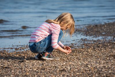 Keywords: girl,beach,seashore,water,Ink and Watercolor Painting - Girl on Beach,girl looking at shells on the beach