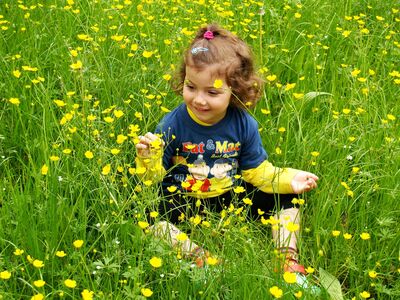 Keywords: girl,field,yellow flowers,pink hair tie,blue patterned shirt,yellow sleeves,sitting on the ground