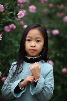 Keywords: portrait,girl,asian,long hair,blue top,pink flowers behind,hands