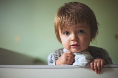 Keywords: portrait,green eyes,baby,hands,bib,grey pattern,light brown hair