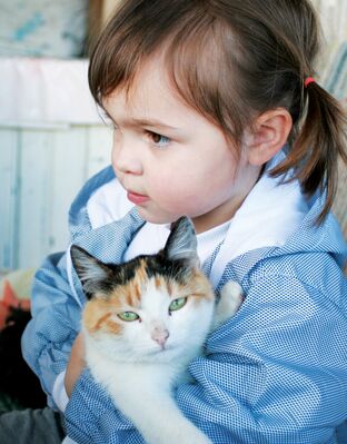 Keywords: girl,woman,youth,young,cat,look down,blue jacket with white trim,calico,looking