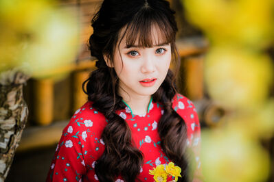 Keywords: girl,youth,young,long brown haiar,locks,red top with white flowers,yellow,asian