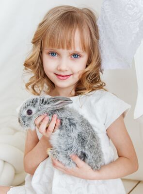 Keywords: girl,rabbit,relaxing while you paint a smiling girl holding a rabbit