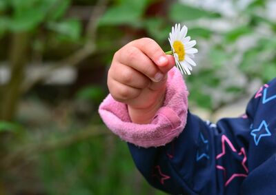 Keywords: girl,hand holding a flower,daisy,yellow center,pink cuff,blue print coat,jacket.trees.outdoors,stars