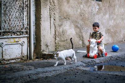 Keywords: portrait,child,kid,children,cat,ball,hobby horse,sidewalk,doorway,brown shirt,boy,red wheels,puddle,riding