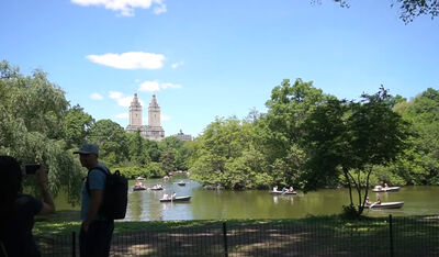 Keywords: doing plein air in Central Park