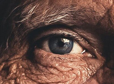 Keywords: eye,man,old eye