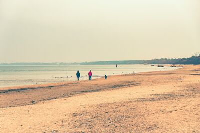 Keywords: beach,people walk on beach,ocean,sea,dog,seashore,painting people and a dog on the beach