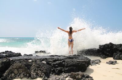 Keywords: beach,ocean,water,woman,splash,wave,rocks