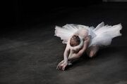 ballerina-5502254_1920.jpg