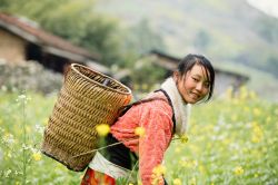 girl_outdoor_smile.jpg