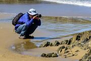 reference_photographer_beach.JPG