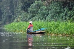 fisherman-285316_1920.jpg