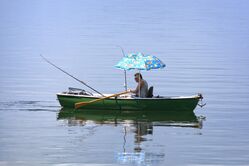 rowboat-1448614_1920.jpg