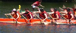 dragonboats_shadow.jpg
