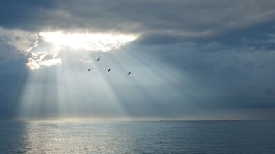 Keywords: sky,clouds,cloud,birds,ocean,sea,Watercolor painting of sun rays above the sea,Watercolor painting of sun rays above the sea - 42:48