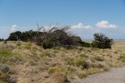 Keywords: Colorado,Sand Dunes