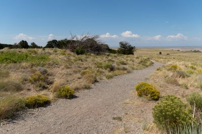 Keywords: Colorado,Sand Dunes