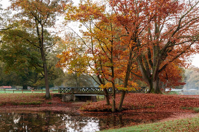 Keywords: Fall,park