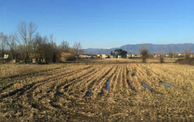 Keywords: painting fields after harvest