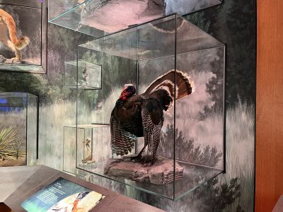 Keywords: Colorado,Garden of the Gods