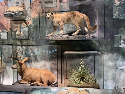 Keywords: Colorado,Garden of the Gods