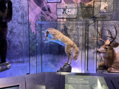 Keywords: Colorado,Garden of the Gods