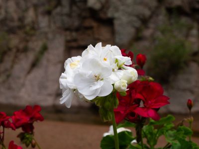 Keywords: Colorado,Seven Falls