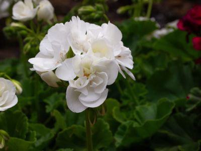 Keywords: Colorado,Seven Falls