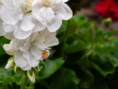 Keywords: Colorado,Seven Falls