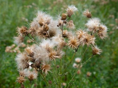 Keywords: Colorado,Paint Mines