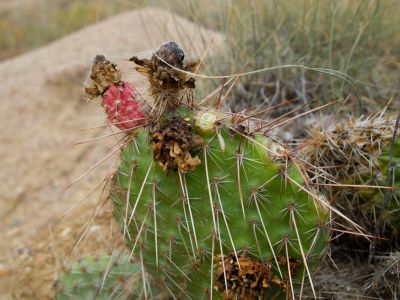 Keywords: Colorado,Paint Mines
