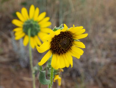 Keywords: Colorado,Red Rock
