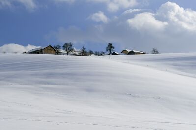 Keywords: winter,snow,snowy