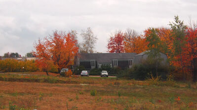 Keywords: expressive painting a house behind autumn trees